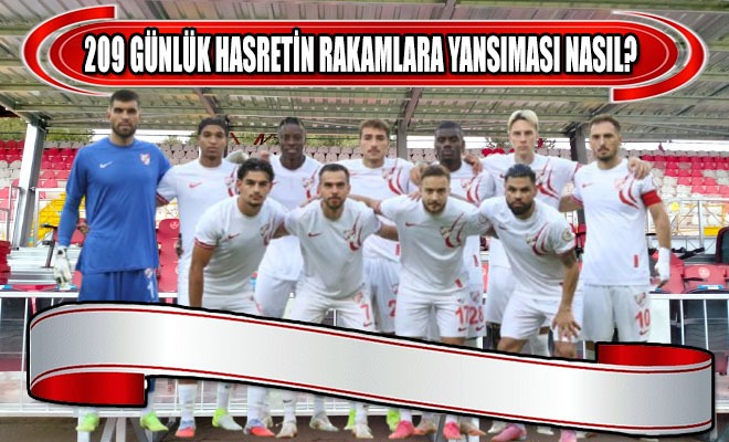 209 Gün Sonra Rakamlarla Eve Dönüş