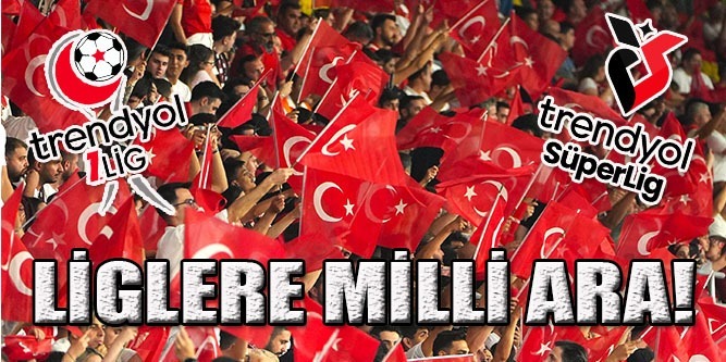 Liglere Milli Ara
