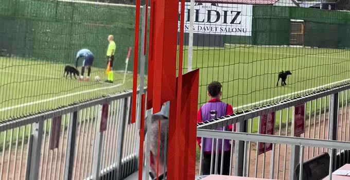 SAHADA DAVETSİZ MİSAFİR